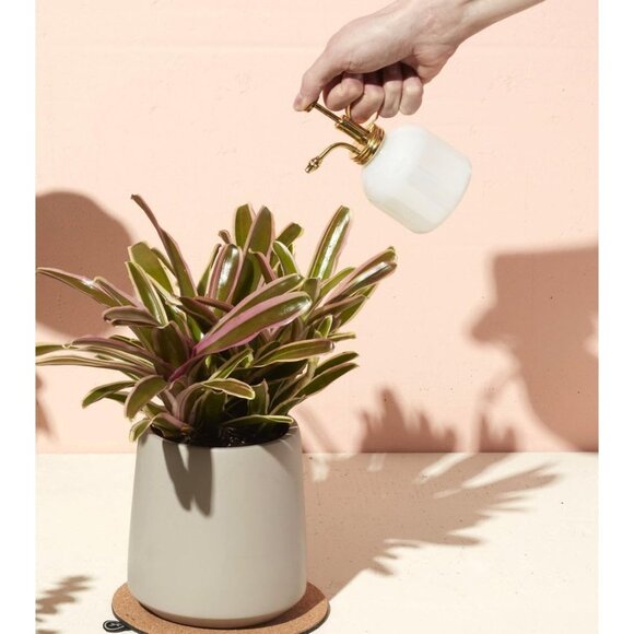 Modern Sprout Botanical Kit, Carbon Steel Pruning Shears & 8oz Plant Mister - Picture 3 of 6